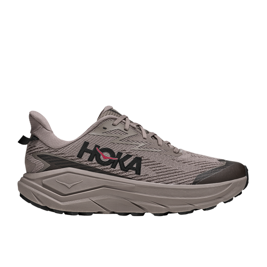 Grey sneaker on a white background