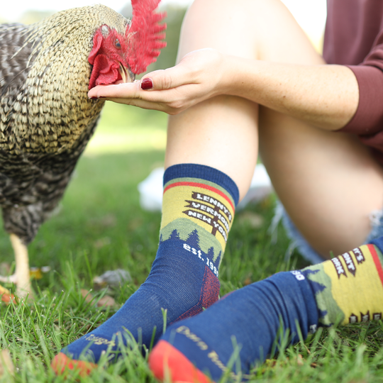 A person sitting on grass outdoors with a chicken at their feet, wearing colorful crew socks with a scenic mountain landscape print and the text 'Lone Star Ranch Men's Collection' and 'est. 2011'.