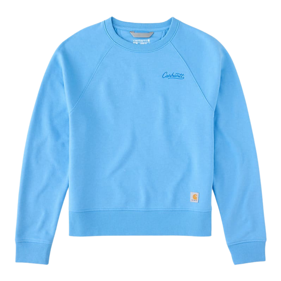 Light blue sweatshirt with Carhartt logo on a white background