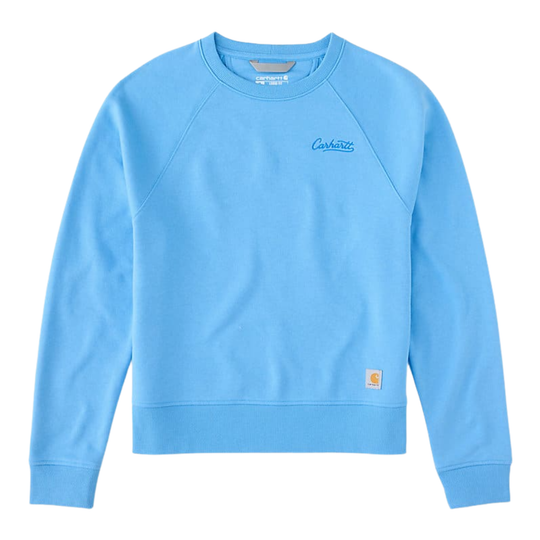 Light blue sweatshirt with Carhartt logo on a white background