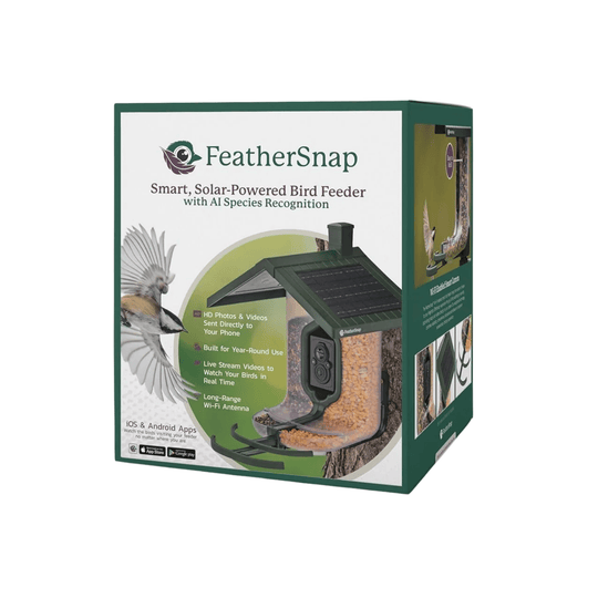 Retail box for a solar-powered bird feeder with camera and phone app