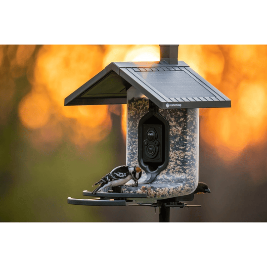 Black roofed smart bird feeder with clear seed reservoir and built-in camera