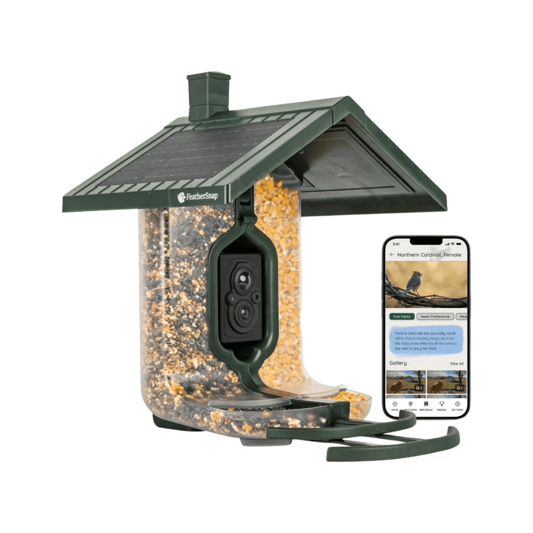 Green bird feeder with solar panel, built-in camera, and phone app preview