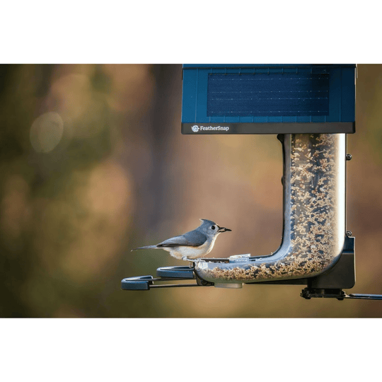Blue-and-black solar bird feeder with clear seed tube and mounted perch, showing FeatherSnap logo