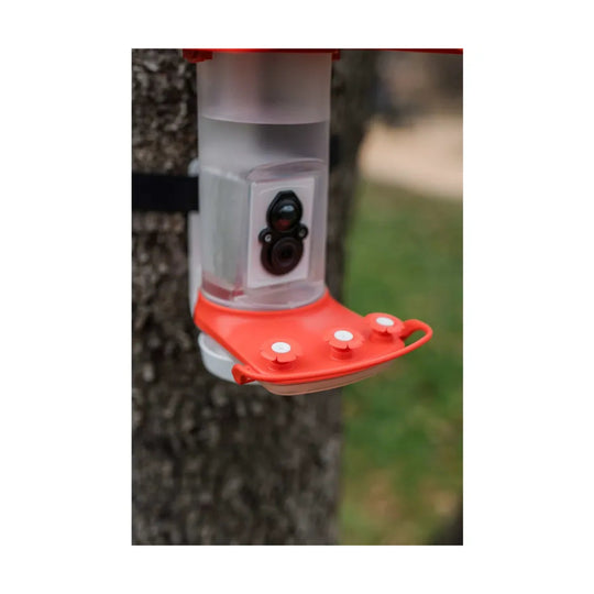 FeatherSnap Smart Hummingbird Feeder - Red - Lenny's Shoe & Apparel