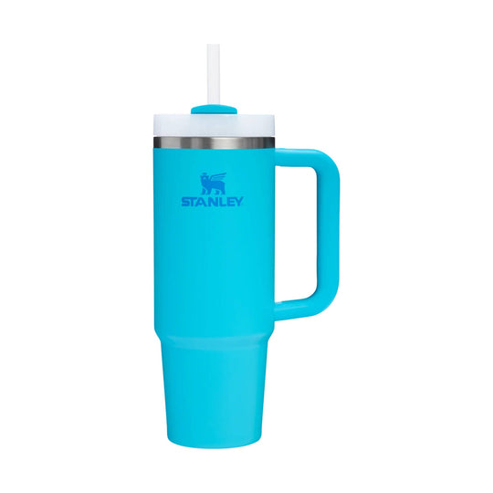 Turquoise Stanley handled tumbler with white lid and straw