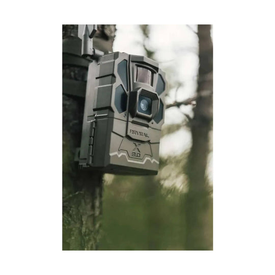 Grey trail camera mounted to a tree with lens and display window