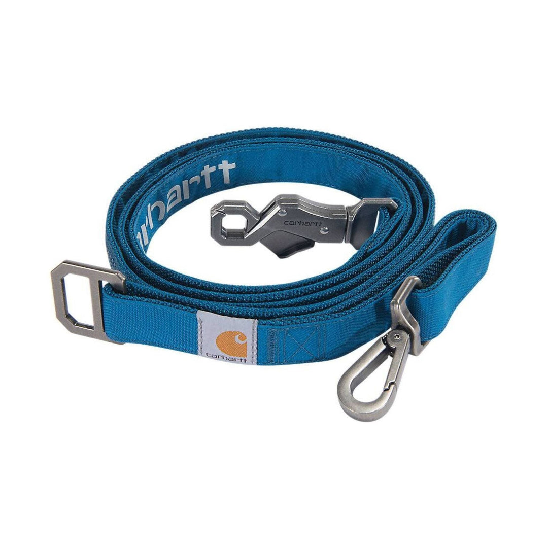 Blue dog leash with metal clip and buckle hardware