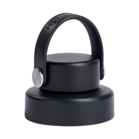 Black insulated water bottle with loop handle cap and silver side hinges